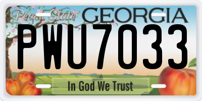 GA license plate PWU7033