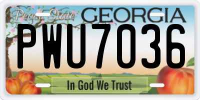 GA license plate PWU7036
