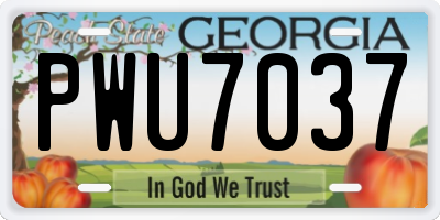 GA license plate PWU7037