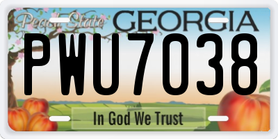 GA license plate PWU7038