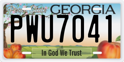 GA license plate PWU7041