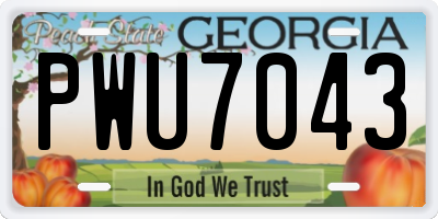 GA license plate PWU7043