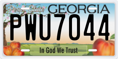 GA license plate PWU7044