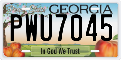 GA license plate PWU7045