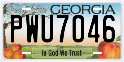 GA license plate PWU7046