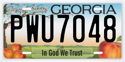 GA license plate PWU7048