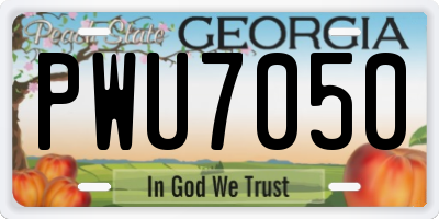 GA license plate PWU7050