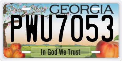 GA license plate PWU7053