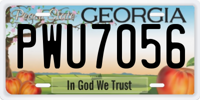 GA license plate PWU7056