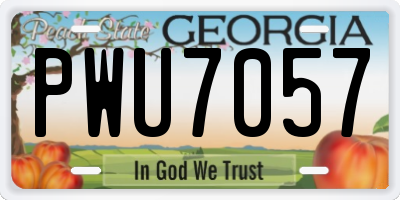 GA license plate PWU7057