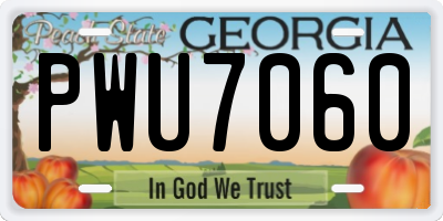GA license plate PWU7060