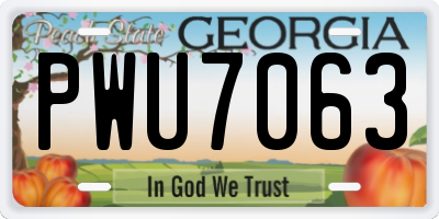 GA license plate PWU7063