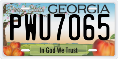 GA license plate PWU7065
