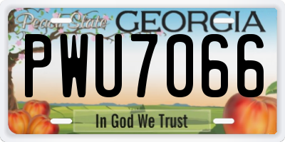 GA license plate PWU7066