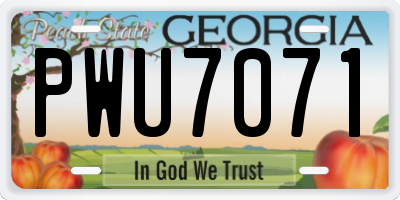 GA license plate PWU7071