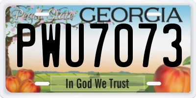 GA license plate PWU7073
