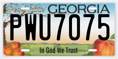 GA license plate PWU7075