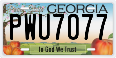 GA license plate PWU7077