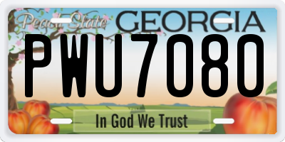 GA license plate PWU7080