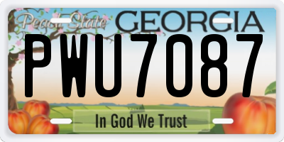 GA license plate PWU7087