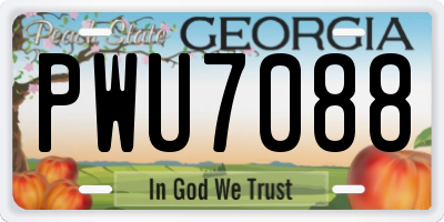 GA license plate PWU7088