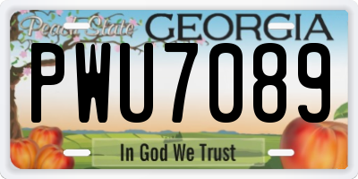 GA license plate PWU7089