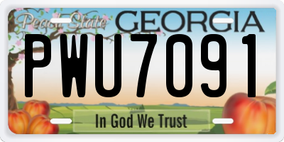 GA license plate PWU7091
