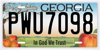 GA license plate PWU7098