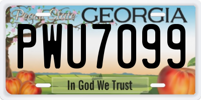 GA license plate PWU7099