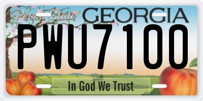 GA license plate PWU7100