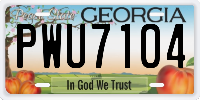 GA license plate PWU7104