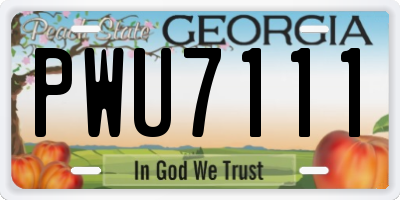 GA license plate PWU7111
