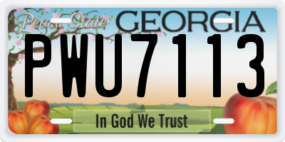 GA license plate PWU7113