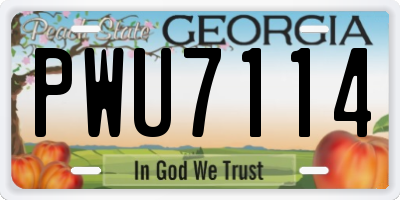 GA license plate PWU7114