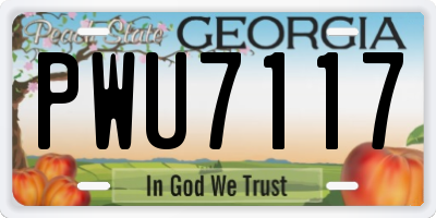 GA license plate PWU7117