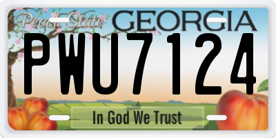 GA license plate PWU7124