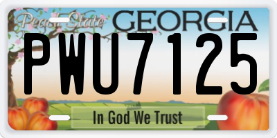 GA license plate PWU7125