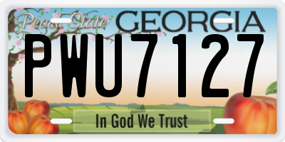 GA license plate PWU7127