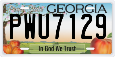 GA license plate PWU7129