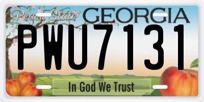 GA license plate PWU7131