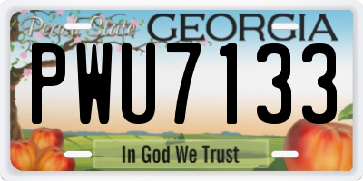 GA license plate PWU7133