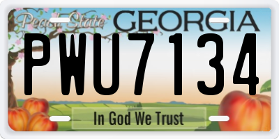 GA license plate PWU7134