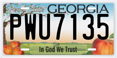 GA license plate PWU7135