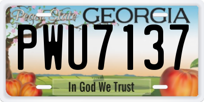 GA license plate PWU7137