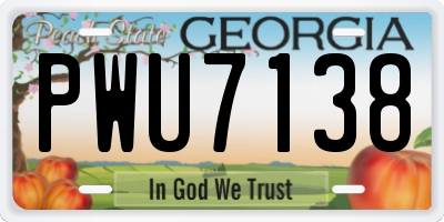GA license plate PWU7138