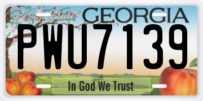 GA license plate PWU7139
