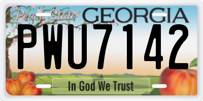 GA license plate PWU7142