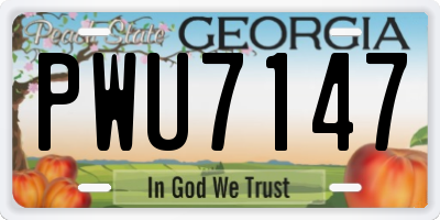 GA license plate PWU7147