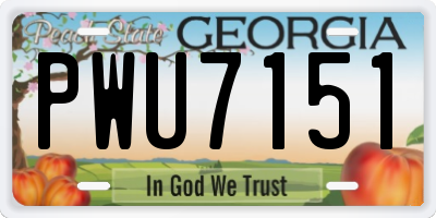 GA license plate PWU7151