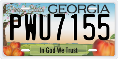 GA license plate PWU7155